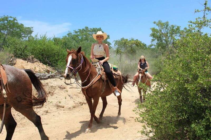 Los Cabos: Horseback Riding in Canyon a Mexican Experience - Wild Canyon ride: from the canyon down to the oasis