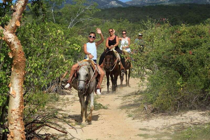 Los Cabos: Horseback Riding in Canyon a Mexican Experience - Lion’s Den meal: quesadillas, guacamole, and a drink afterward