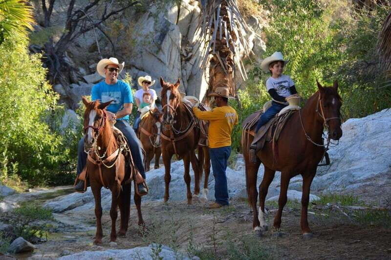 Los Cabos: Horseback Riding in Canyon a Mexican Experience - Swimming and self-guided time: what you can do once you’re there