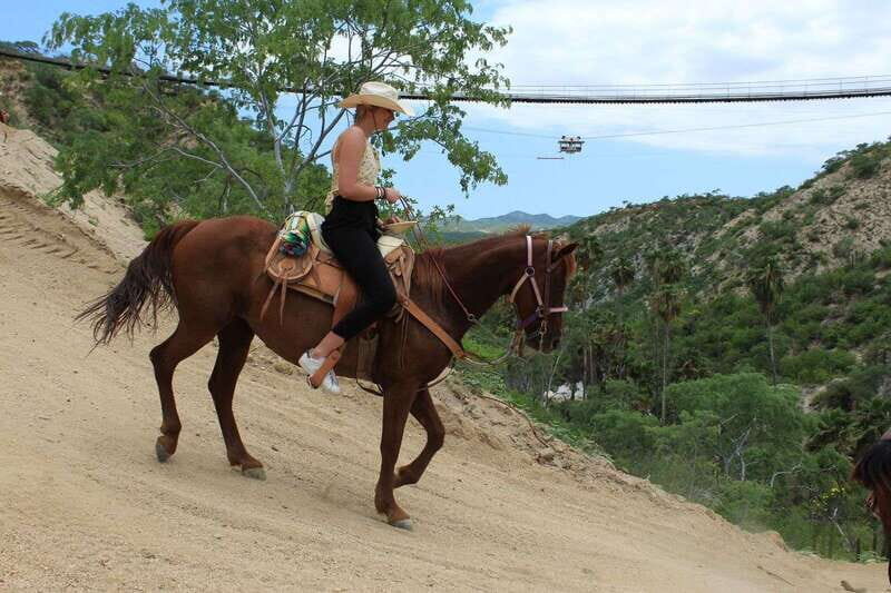 Los Cabos: Horseback Riding in Canyon a Mexican Experience - The 4-hour plan, plus the real pacing on horseback