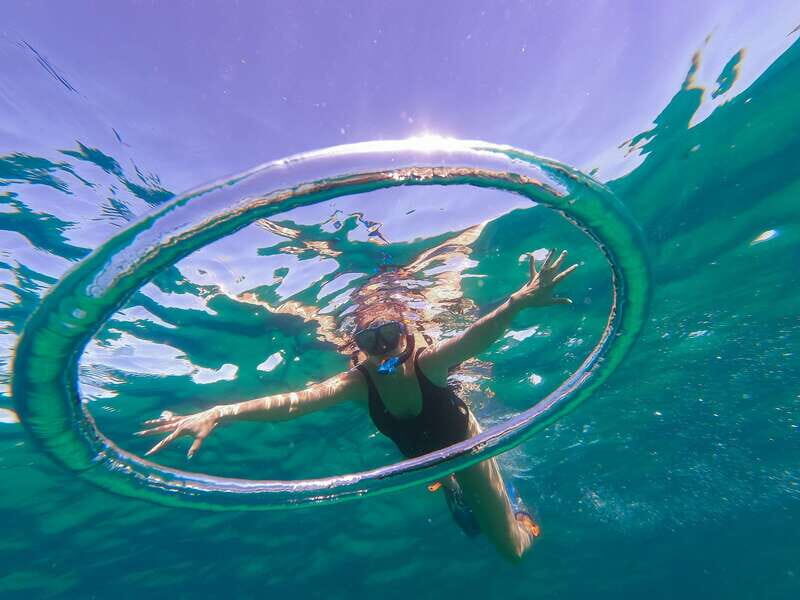 Los Cabos: Kayak to The Arch & Snorkel + Transport & Photos - Pelican’s Rock Snorkeling: Fish, Sea Life, and What the Reef Time Feels Like