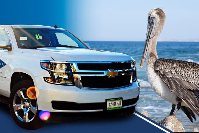 Los Cabos Luxury SUV Round-trip Transportation - Who This Los Cabos Transfer Suits Best