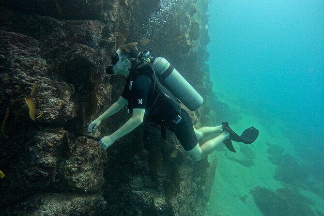 Los Cabos Open Water Diver Course - Cost breakdown and value: $555 plus cash-only fees