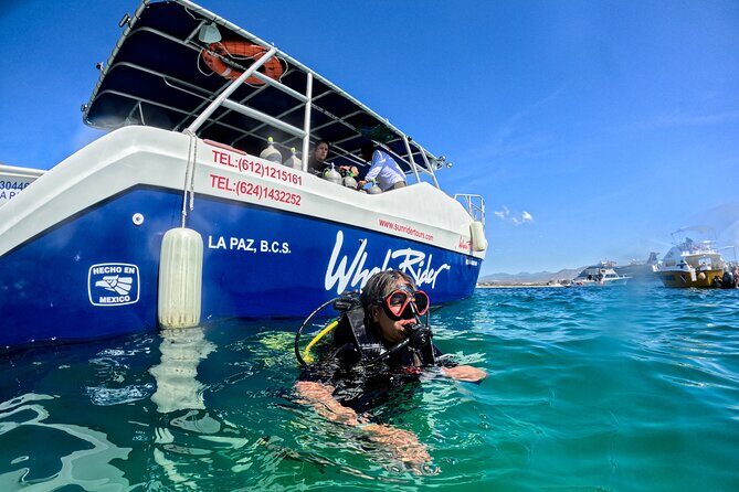 Los Cabos Open Water Diver Course - Meeting point, timing, and how the schedule affects your day