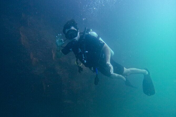Los Cabos Open Water Diver Course - Cabo waters: Sea of Cortez training and the real-world experience of Pelican Rock