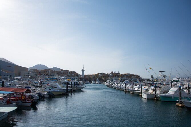 Los Cabos Private City Tour with Guide - Stop 1 at the Glass Factory: Hand-Blown Craft and Good Timing