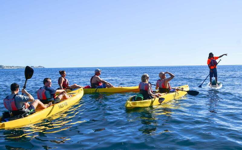 Los Cabos: Private Kayaking and Snorkeling Tour at the Arch - The 2.5-hour flow: a compact outing with a clear rhythm