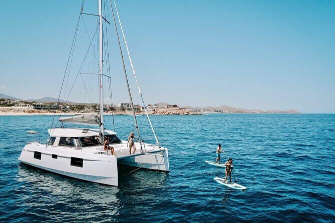 Los Cabos Seasonal Whale Watch and Snorkel Tour - Key highlights worth your attention