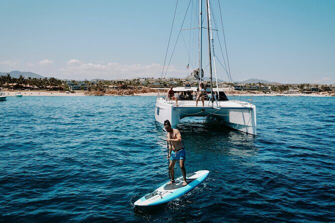 Los Cabos Seasonal Whale Watch and Snorkel Tour - Whale watching in Cabo’s winter migration window (Dec–Apr)
