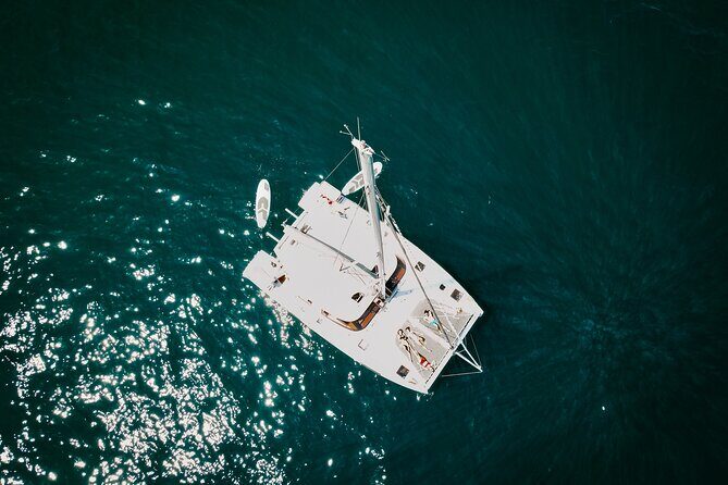 Los Cabos Seasonal Whale Watch and Snorkel Tour - Small catamaran = better sightlines and a calmer vibe