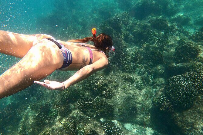 Los Cabos Seasonal Whale Watch and Snorkel Tour - What snorkeling feels like here (and who it suits)