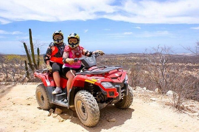 Los Cabos Single or Double ATV Beach and Desert Tour - Stop types you should expect: beaches, cliffs, and a possible cactus lesson
