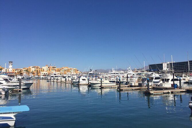 Los Cabos Snorkel & Pirate Ship Fun Adventure with Lunch - Boat, crew, and the pirate-ship vibe