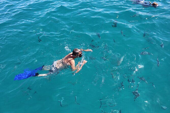 Los Cabos Snorkel & Pirate Ship Fun Adventure with Lunch - How to pack like a pro for this pirate ship snorkel