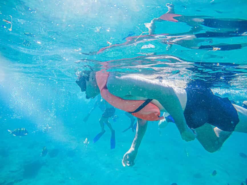 Los Cabos: Snorkeling Cruise with Lunch - Key things that make this tour worth your attention