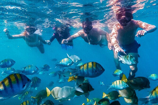 Los Cabos Snorkeling Tour by Speed Boat with Photos Included - Key things to know before you go