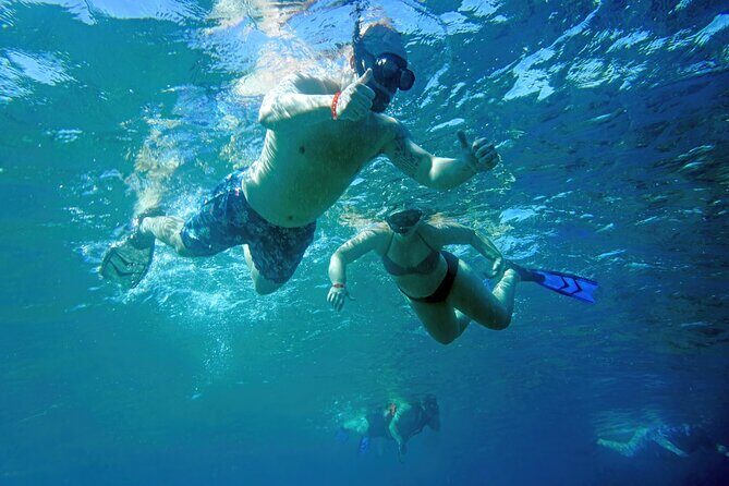 Los Cabos Snorkeling Tour by Speed Boat with Photos Included - Sea of Cortez snorkeling: safer spots, real wildlife energy