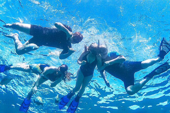 Los Cabos Snorkeling Tour by Speed Boat with Photos Included - The landmark snorkeling spot: less crowd pressure, more looking