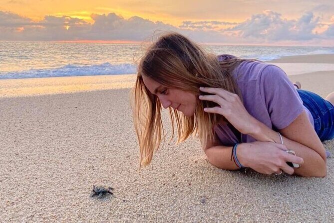 Los Cabos turtle release conservation program - Price and Value: What Your $85 Ticket Really Funds