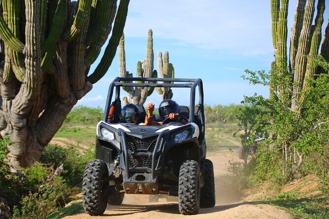 Los Cabos UTV Outdoor Experience to the Hidden Arch - Who Should Book This (and Who Should Skip It)