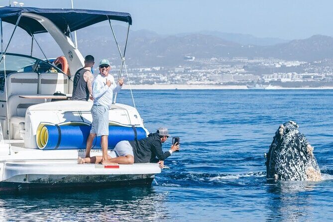 Los Cabos Whale Watching & Snorkel Adventure with Food & Drinks - Key things I’d plan for on this Cabo tour
