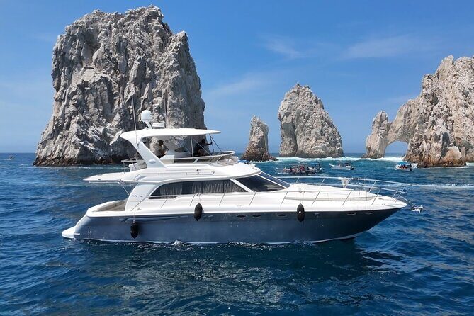 Los Cabos Whale Watching & Snorkel Adventure with Food & Drinks - Snorkeling and paddle boarding: included gear, real time in the water