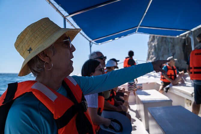 Los Cabos Whale Watching (Transportation and Pictures Included) - When to Go: Morning Whale Activity and Cruise-Port Reality