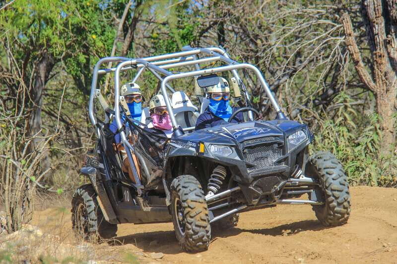 Los Cabos: Zip Lines and UTVs with Mexican Lunch and Drinks - Safety-first zip lining: PETZL, double lines, and the big 500m finish