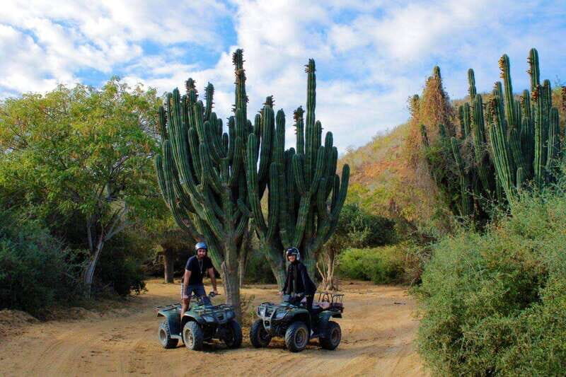 Los cabos:ATV beach&desert with transfer & tequila tasting - Gear, safety, and optional collision insurance