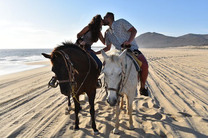 Love is in the air: Private Cabo Beach Sunset Horse Ride W Dinner - Price and value: what $252 per person covers (and what costs extra)