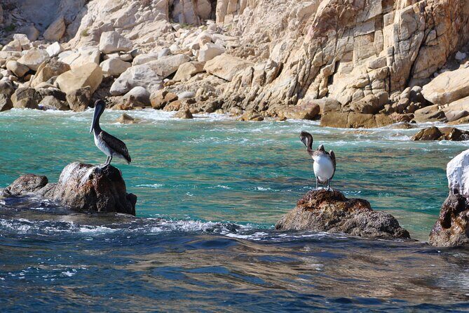 Luxury Cruise with Dinner and Music in Los Cabos - Where to Sit: Upstairs Views, Downstairs Shade, and Better Photo Timing