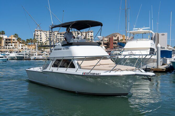 Luxury Private Yacht Charter in Cabo San Lucas Mexico - Weather rules and smart booking timing