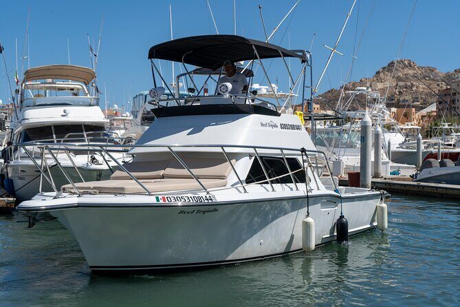 Luxury Private Yacht Charter in Cabo San Lucas Mexico - Should you book this luxury private yacht charter in Cabo San Lucas?