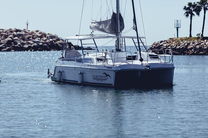 Luxury Snorkel Adventure in Cabo - Lunch and drinks: why the food service is part of the luxury