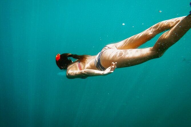 Luxury Snorkeling Tour in Cabo San Lucas - The big picture: luxury boat day with real snorkeling value