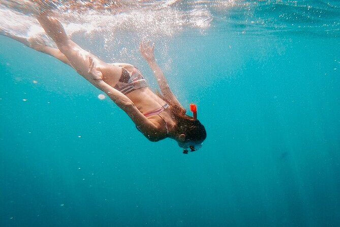 Luxury Snorkeling Tour in Cabo San Lucas - Who this Cabo snorkeling tour is best for