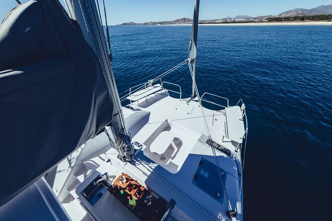 Luxury Whale Watch Cruise to The Arch Los Cabos - Sea of Cortez Views, Arch Photos, and Whale Spotting in 2 Hours
