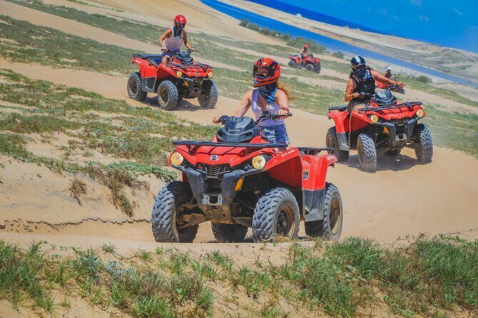 Migriño Beach and Desert ATV Tour in Cabo - Aviary stop and what it adds to your timing