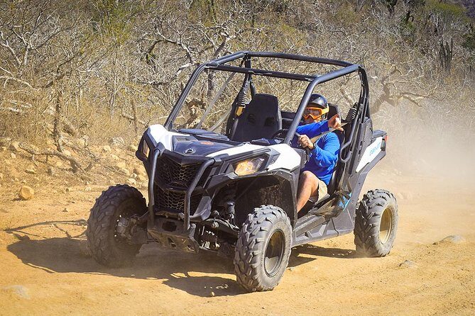 Migriño & Desert off-road Tour UTV Adventure - Price reality: what $110 covers, and what might cost extra