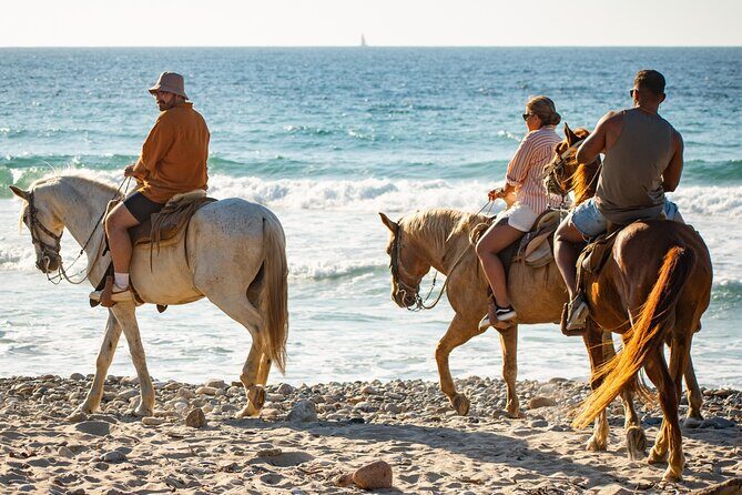 NEW!! Combo ATV & Horseback Ride. Beach & Desert. Tequila Tasting - Tequila Tasting: A Worthwhile Pause After the Speed