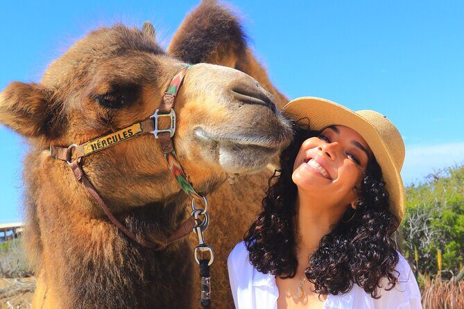 NEW! Combo Camel Beach Ride and UTV 4X4 Cabo Adventure, Tequila & - Mexican Buffet and Tequila Tasting: A Real Stop, Not Just a Photo Pause