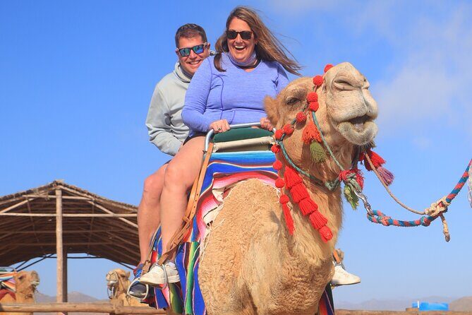 NEW! Combo Camel Beach Ride and UTV 4X4 Cabo Adventure, Tequila & - Who This Tour Fits Best (and Who Might Skip It)
