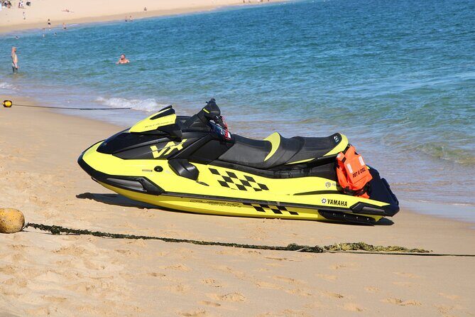 New Jetski Adventure in Cabo San Lucas Bay with Hotel Pickup 1hr - What you’ll see: sting rays, and whales if the season lines up