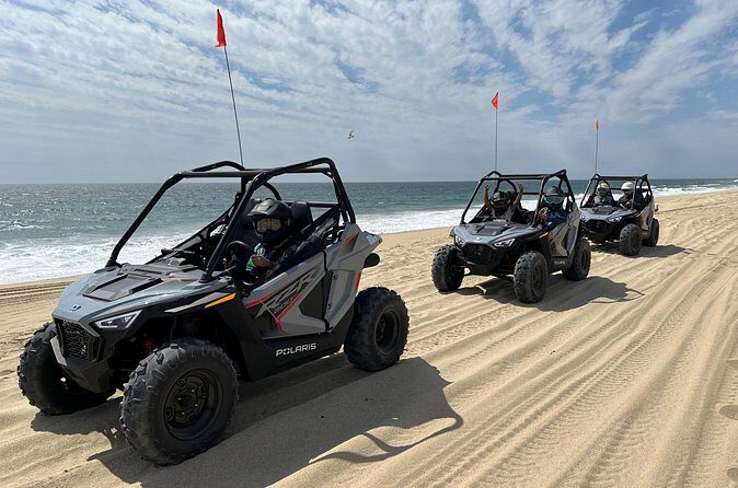 New!!! Kids Off Road Experience Automatic Mini RZR Beach & Desert - The Migrino Desert portion: flora, possible wildlife, and how the terrain feels