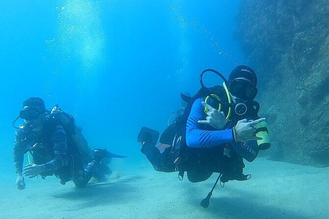 Non-Certified Diving Adventure in Cabo San Lucas - Key highlights to know before you go