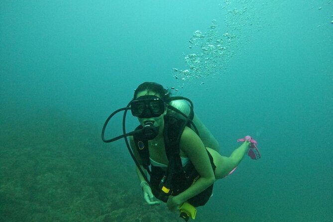 Non-Certified Diving Adventure in Cabo San Lucas - What’s Included (and Why It’s Part of the Value)