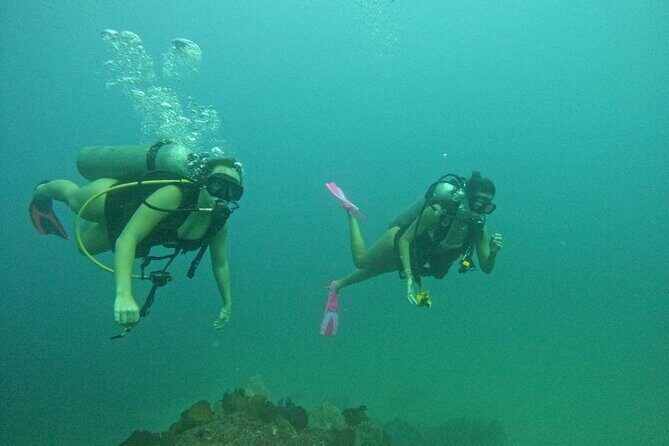 Non-Certified Diving Adventure in Cabo San Lucas - Who This Scuba Session Fits Best (and Who Should Reconsider)