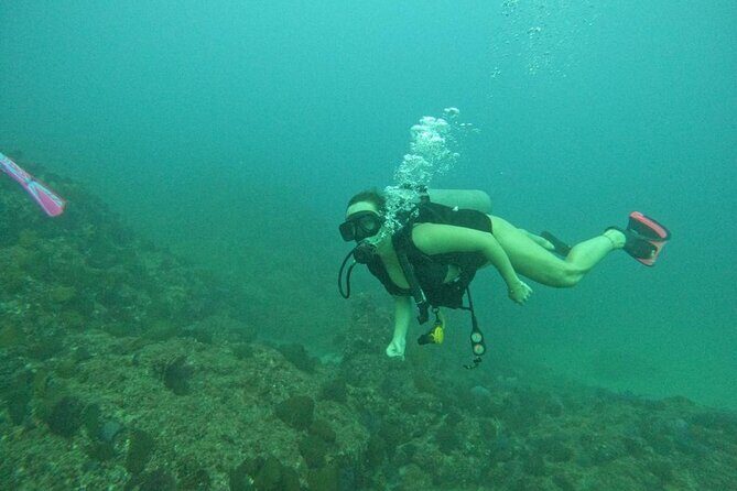 Non-Certified Diving Adventure in Cabo San Lucas - Quick practical notes before you book