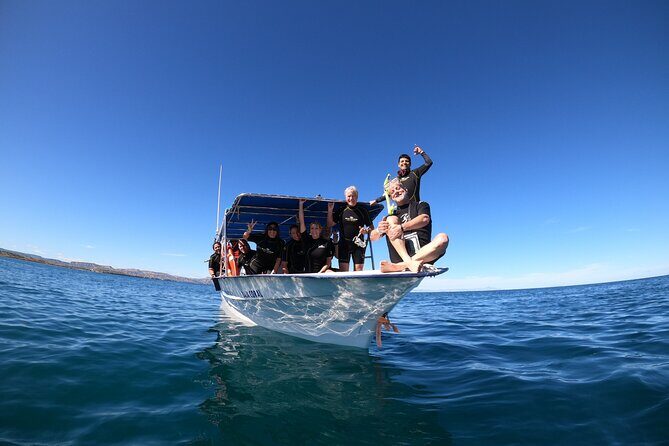 Ocean Safari: Orcas, Whales & Baja's Ocean Giants Adventure - Boat time and crew skill: small-group attention is the real differentiator