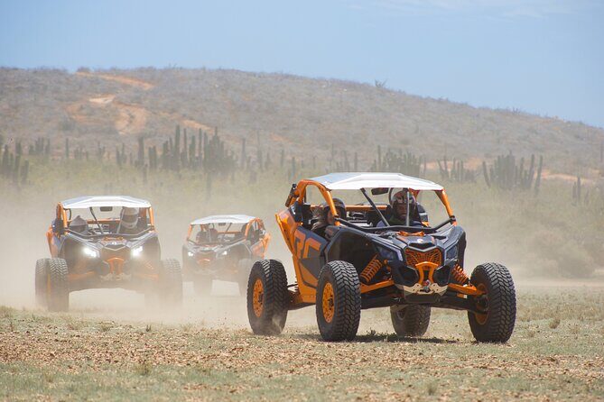 Off to Road Cabo San Lucas Adventure - Beaches, dunes, and ocean cliffs: where the views hit hardest